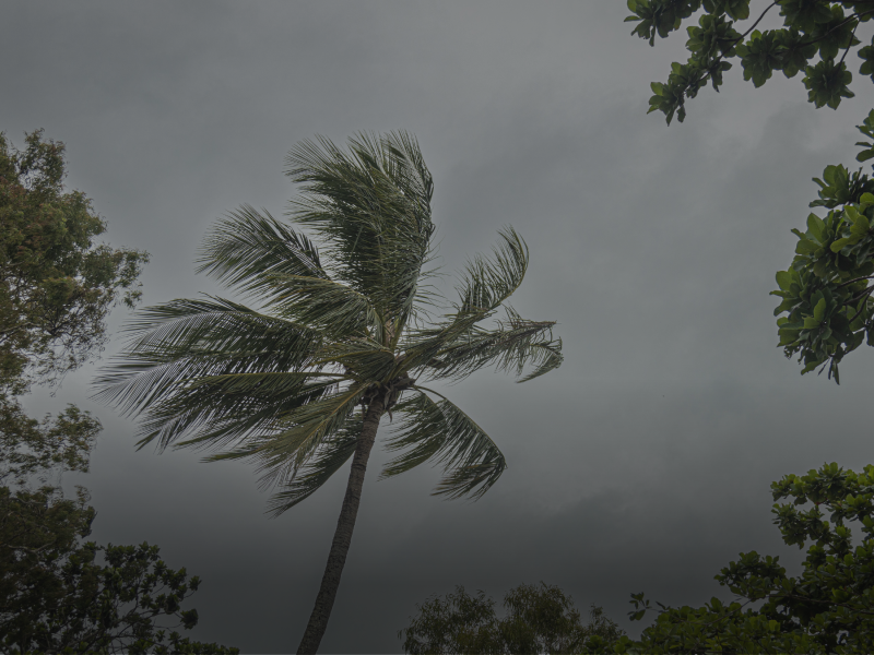 Cyclone image